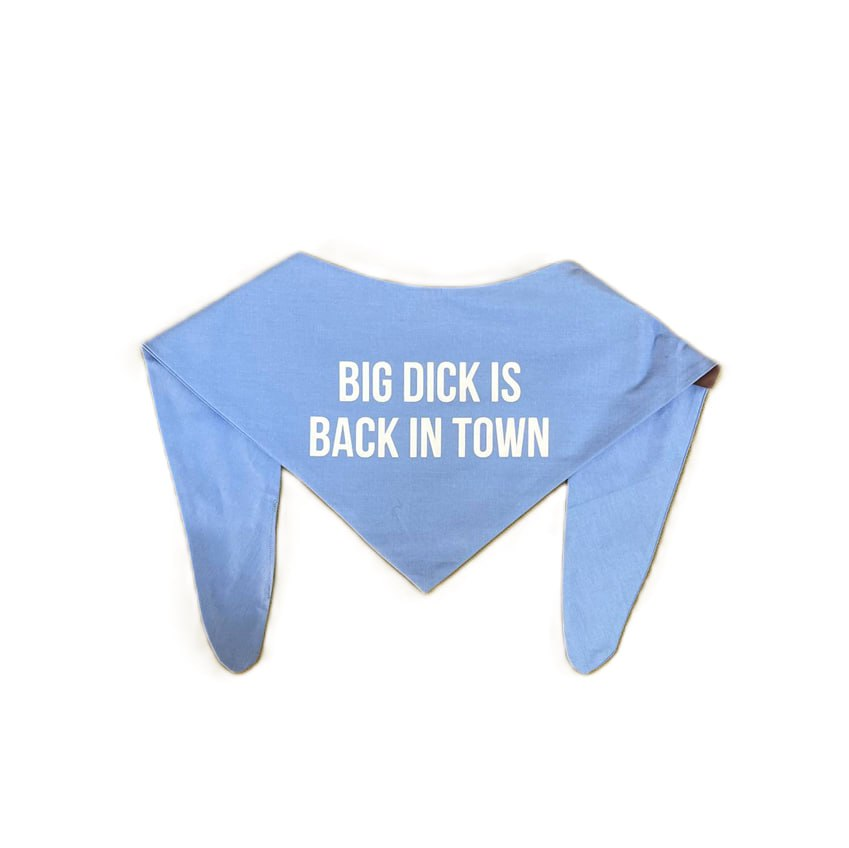 WonderWoof Бандана "Big dick"