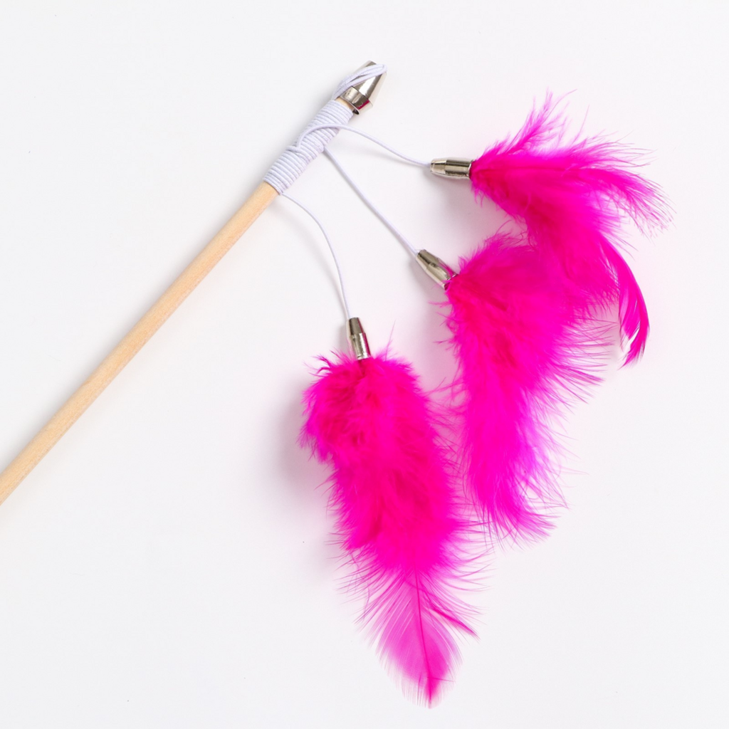 Дразнилка - удочка «Салют из перьев» на деревянной палочке