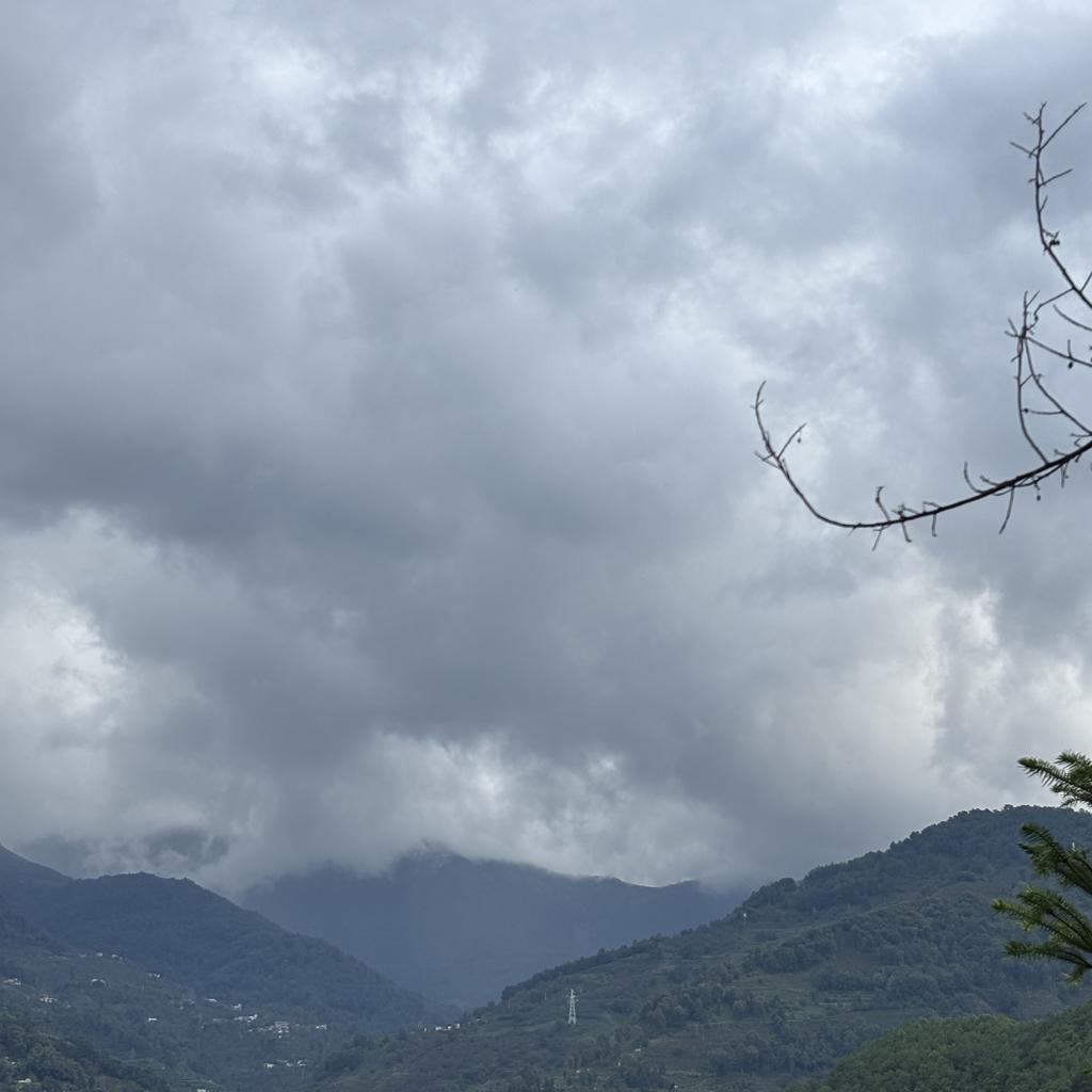 Фэнцин Цьенньен Ешен Дань Чжу (6шт х 5г)