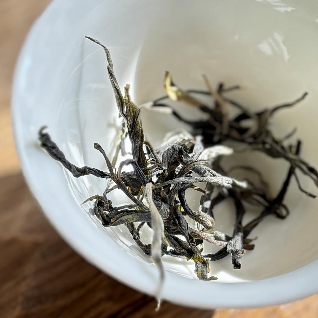 Гу Шу Синиютан Пашашань 2026 (5г)