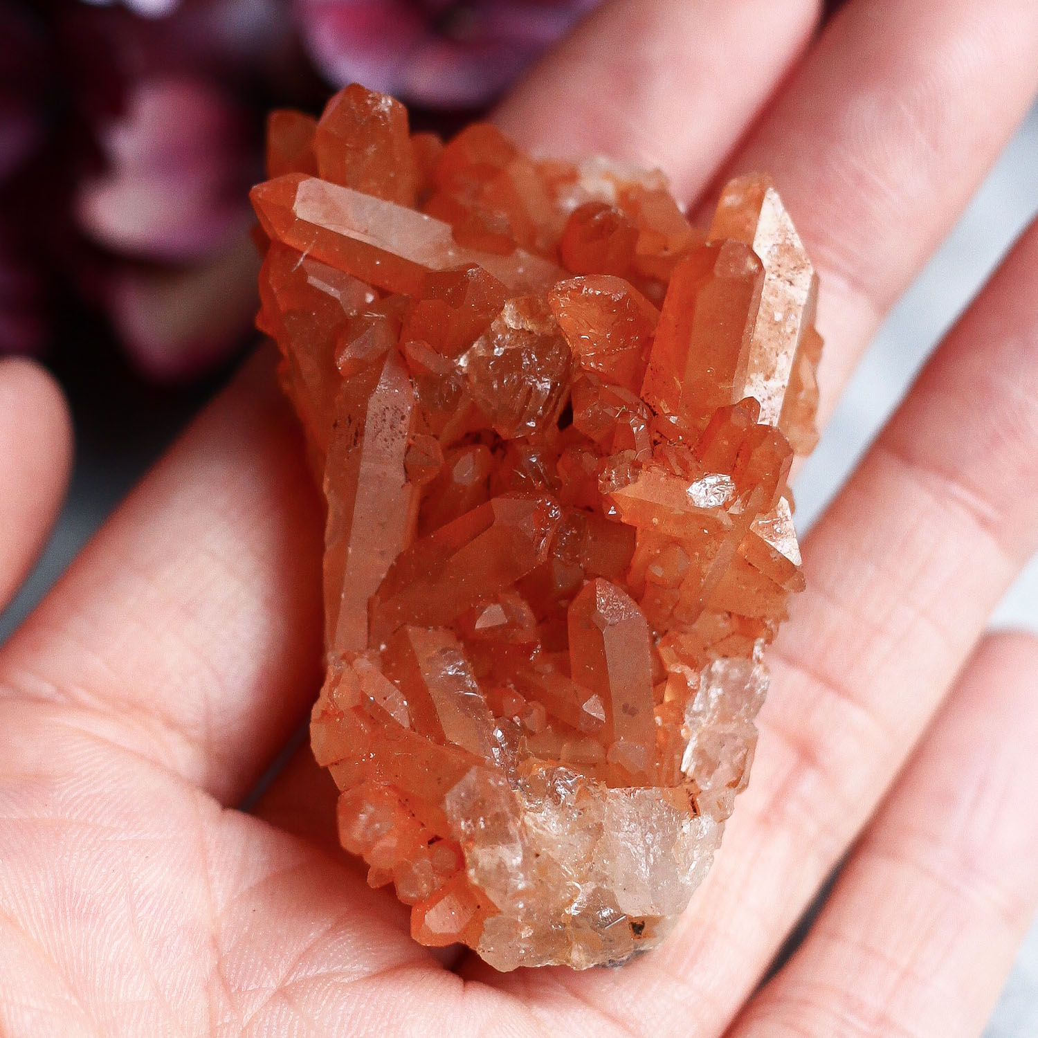 Сросток кристаллов кварца с гематитом