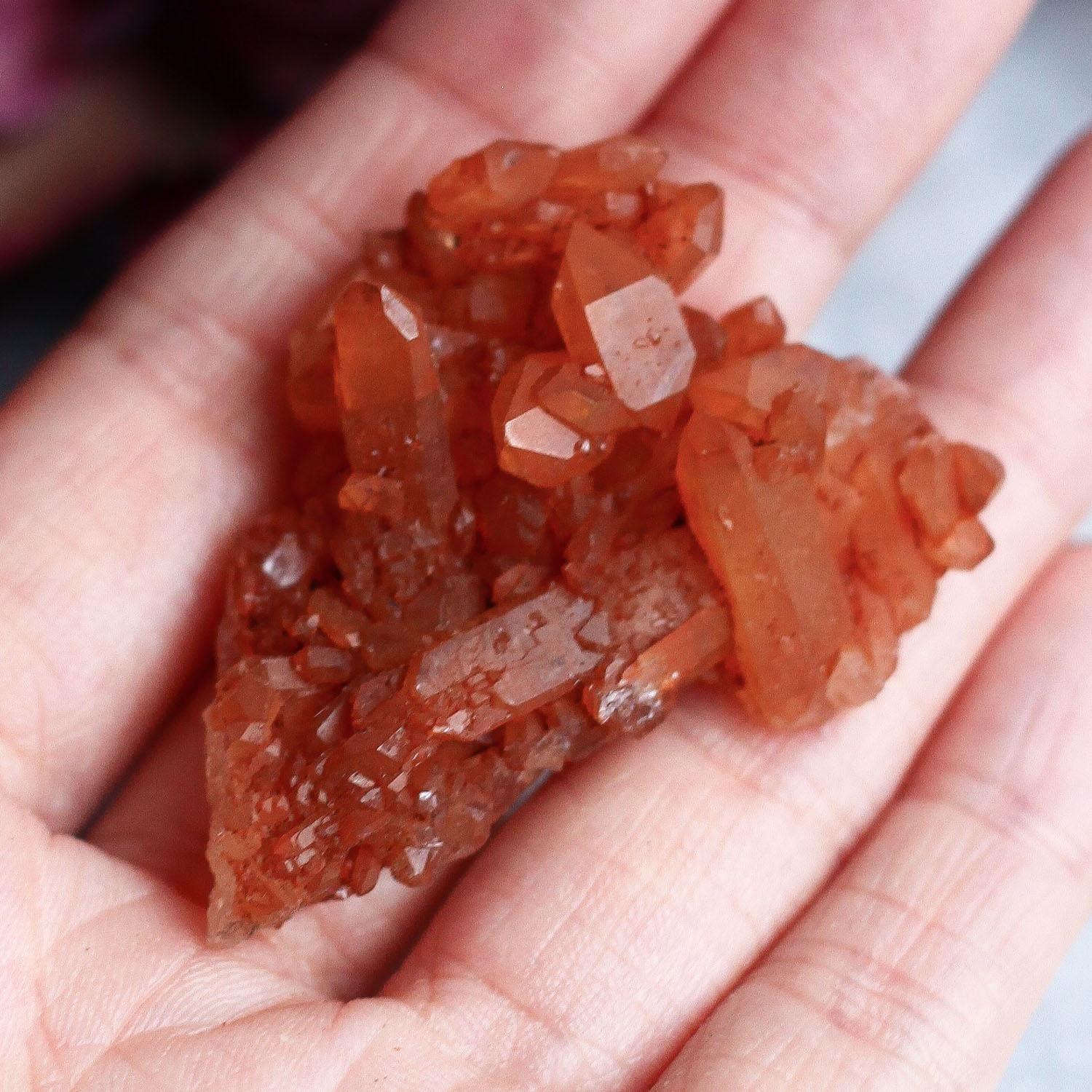 Сросток кристаллов кварца с гематитом