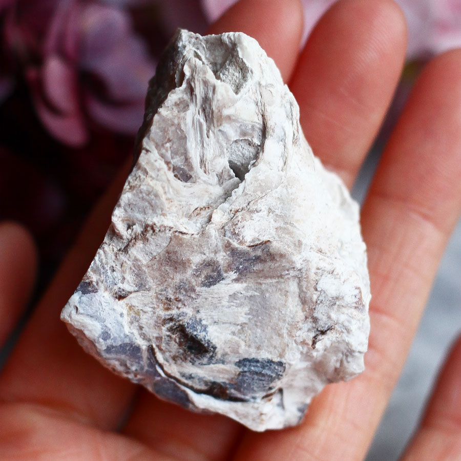 Опализированное дерево