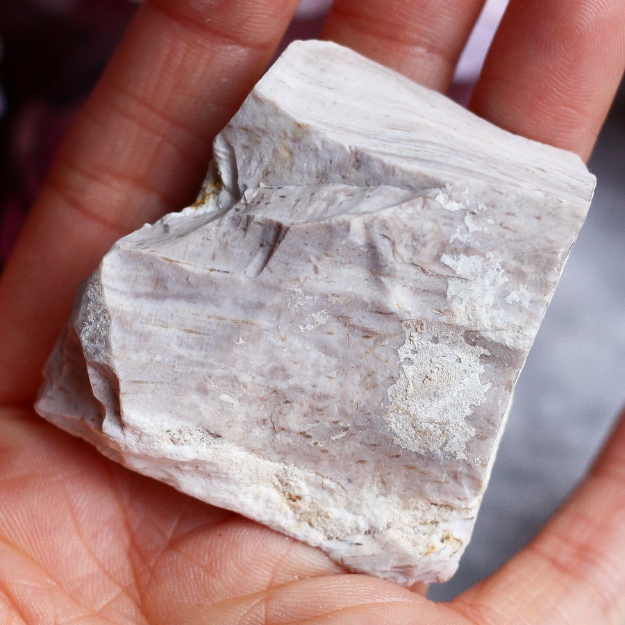 Опализированное дерево