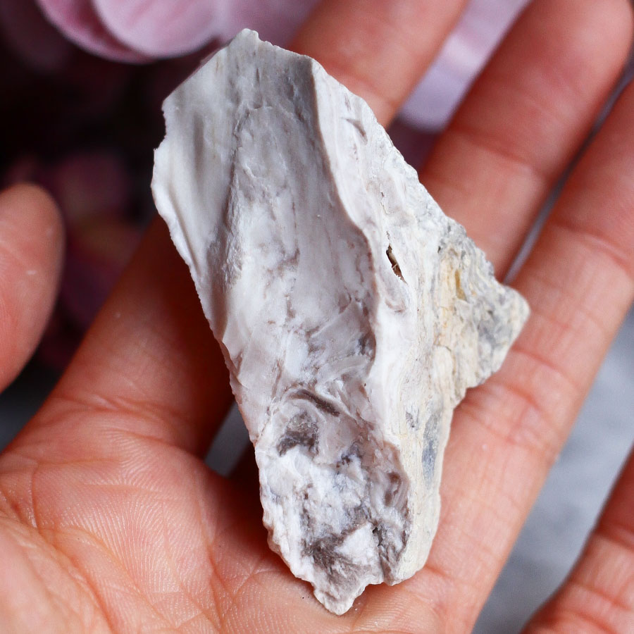 Опализированное дерево