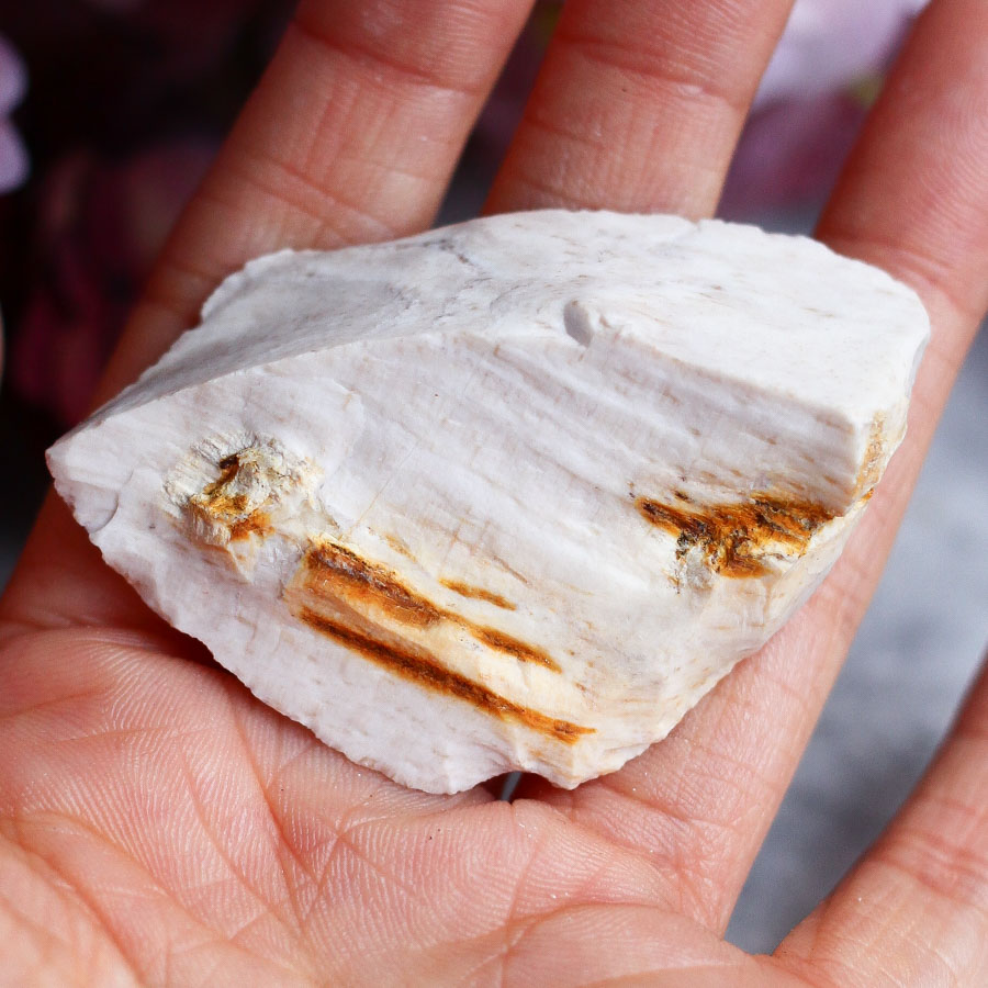 Опализированное дерево