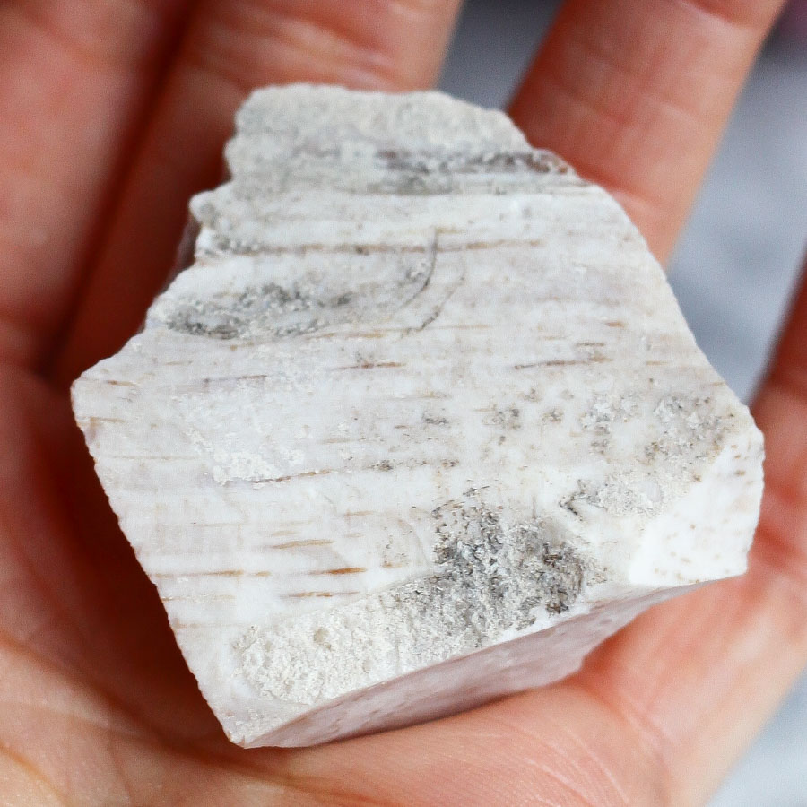 Опализированное дерево