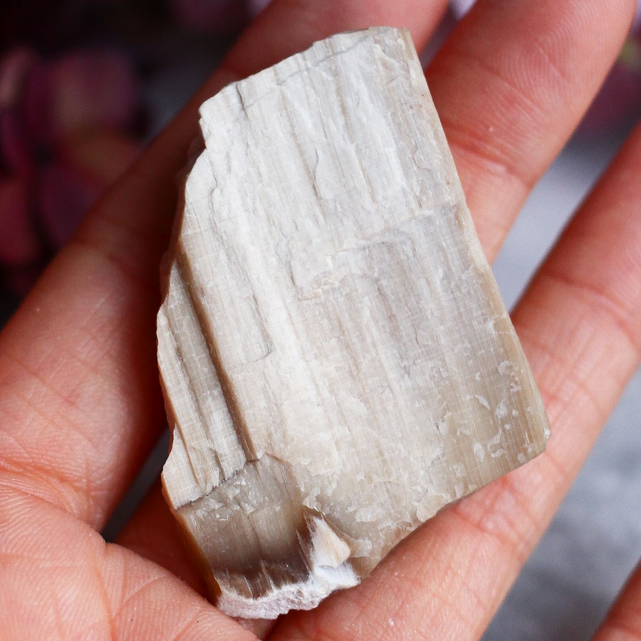 Опализированное дерево