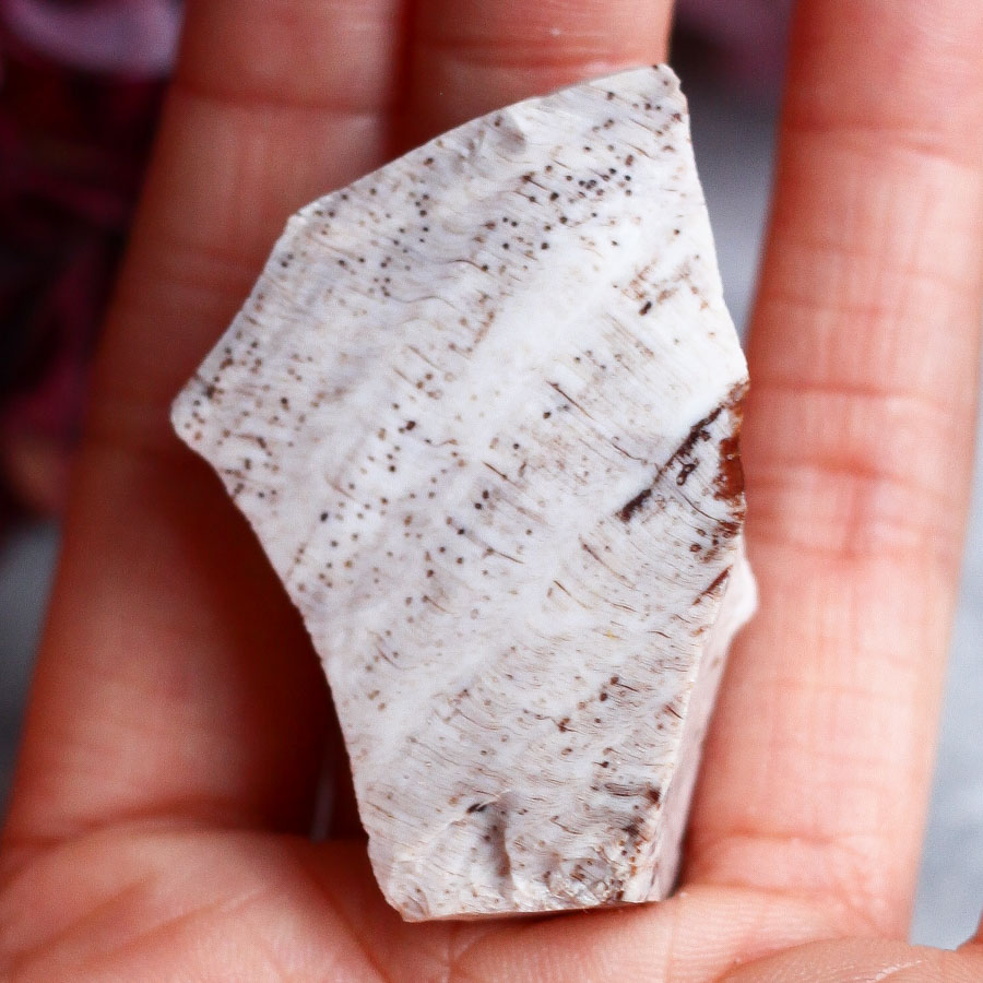 Опализированное дерево