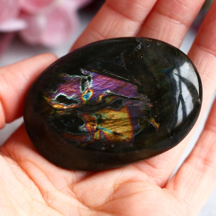 Лабрадор в форме гальки