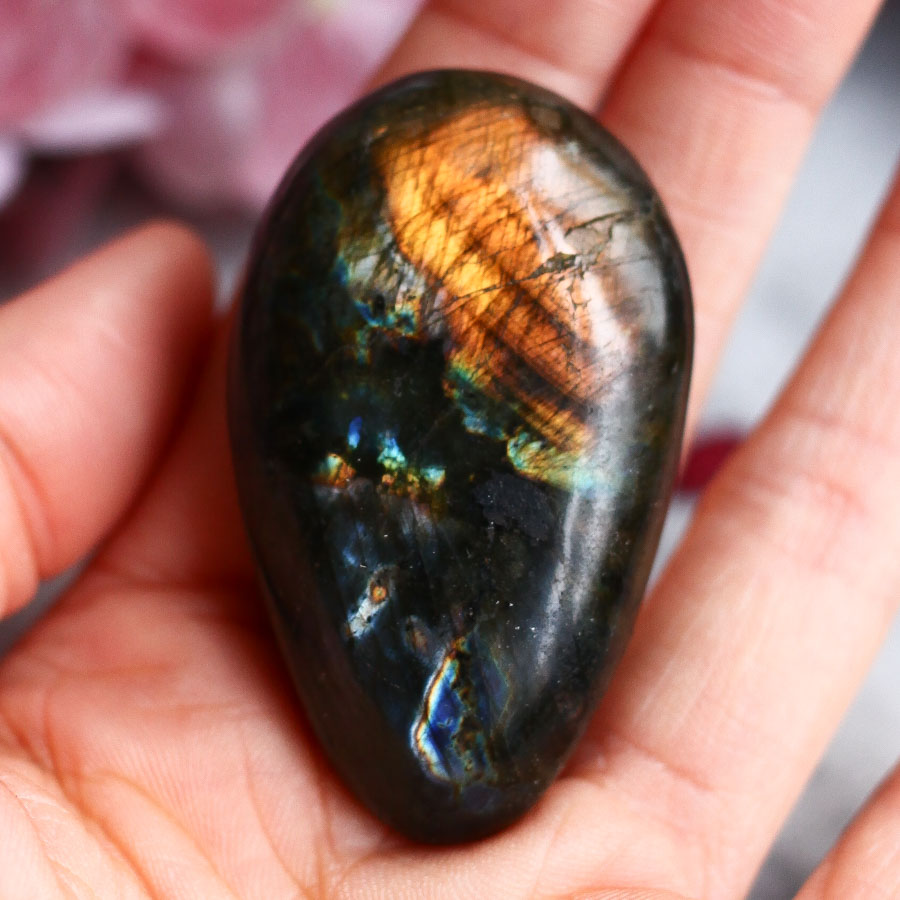 Лабрадор в форме гальки