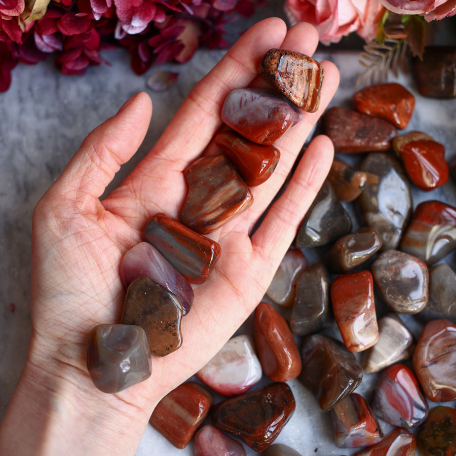 Галтовка окаменелого дерева