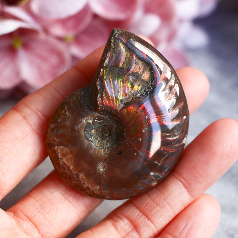 Аммонит с перламутром