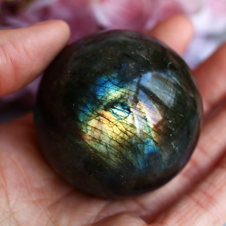 Лабрадор в форме гальки