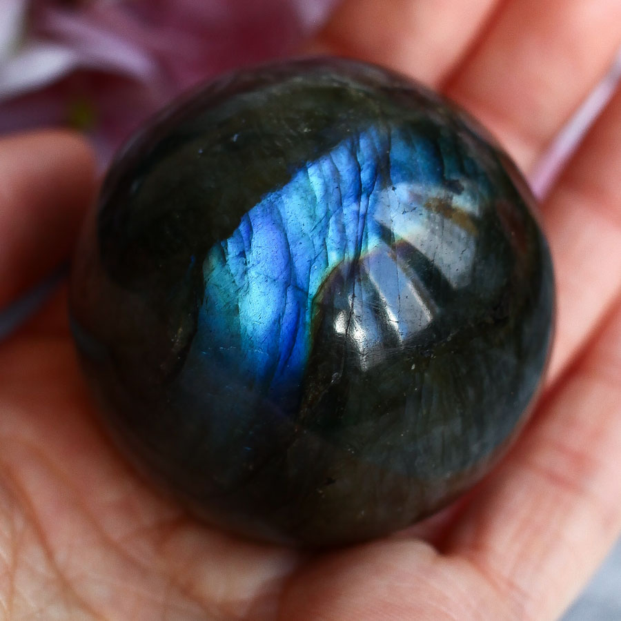 Лабрадор в форме гальки