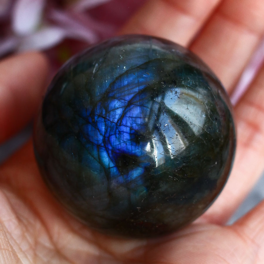 Лабрадор в форме гальки