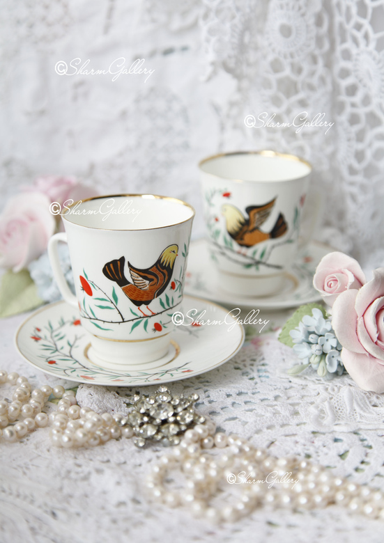 Чашка с блюдцем кофейная пара "Птицы на шиповнике". Фарфор, ЛФЗ.