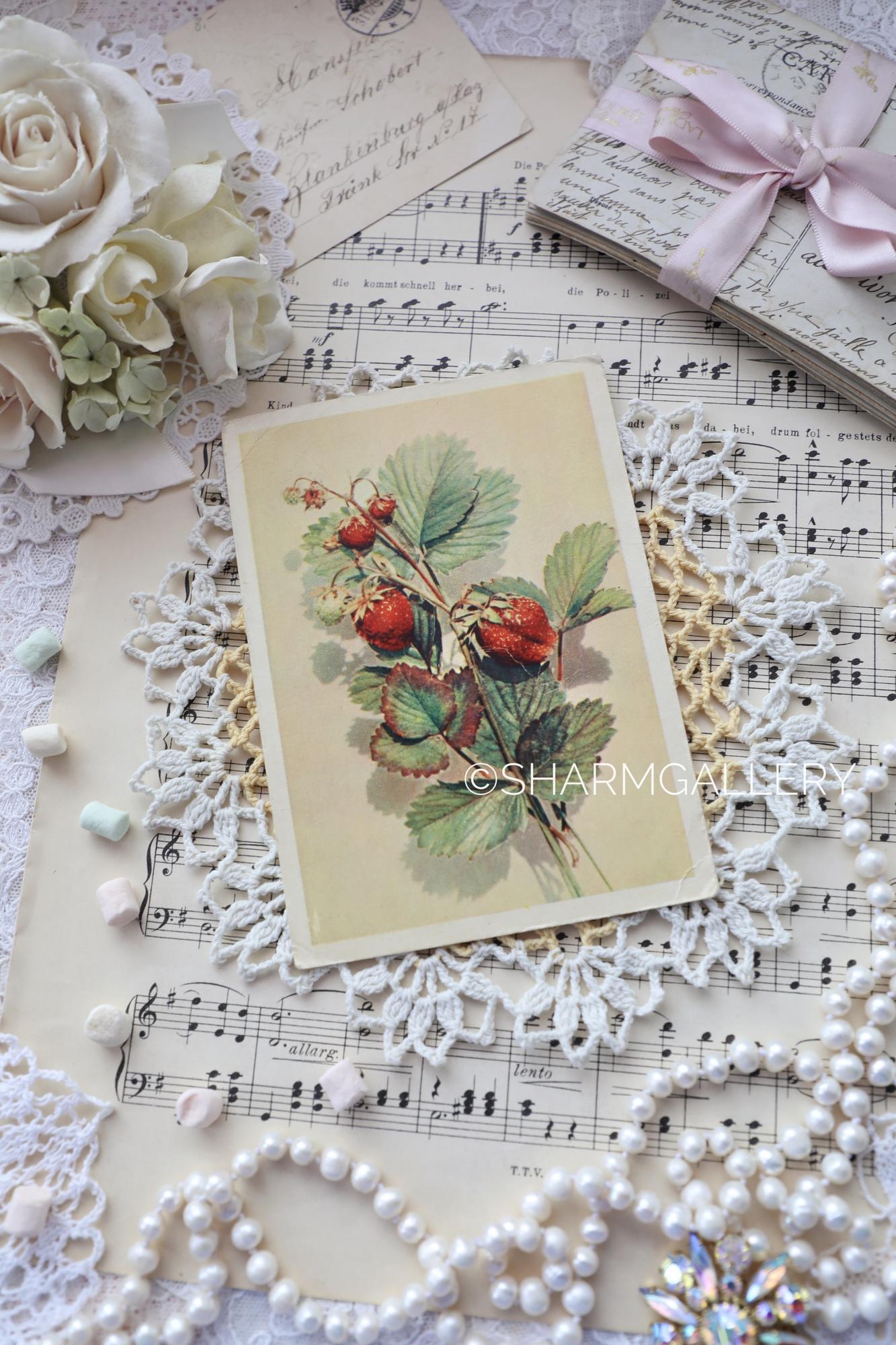 Открытка СССР №214 «Земляника» художник А.Бушкина чистая. 1958г. Изогиз