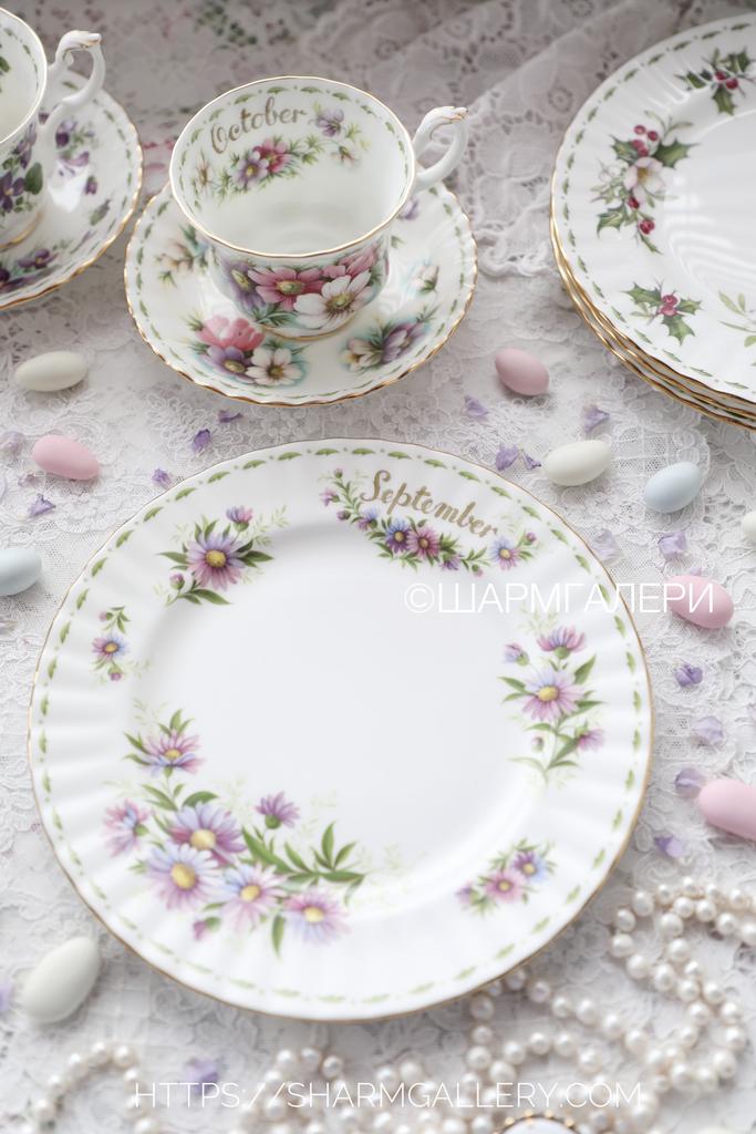 Редкость! Тарелка 20,5см. Сентябрь/Астра September/Michaelmas Daisy Цветок месяца/Flower of the month фарфор Royal Albert, Англия
