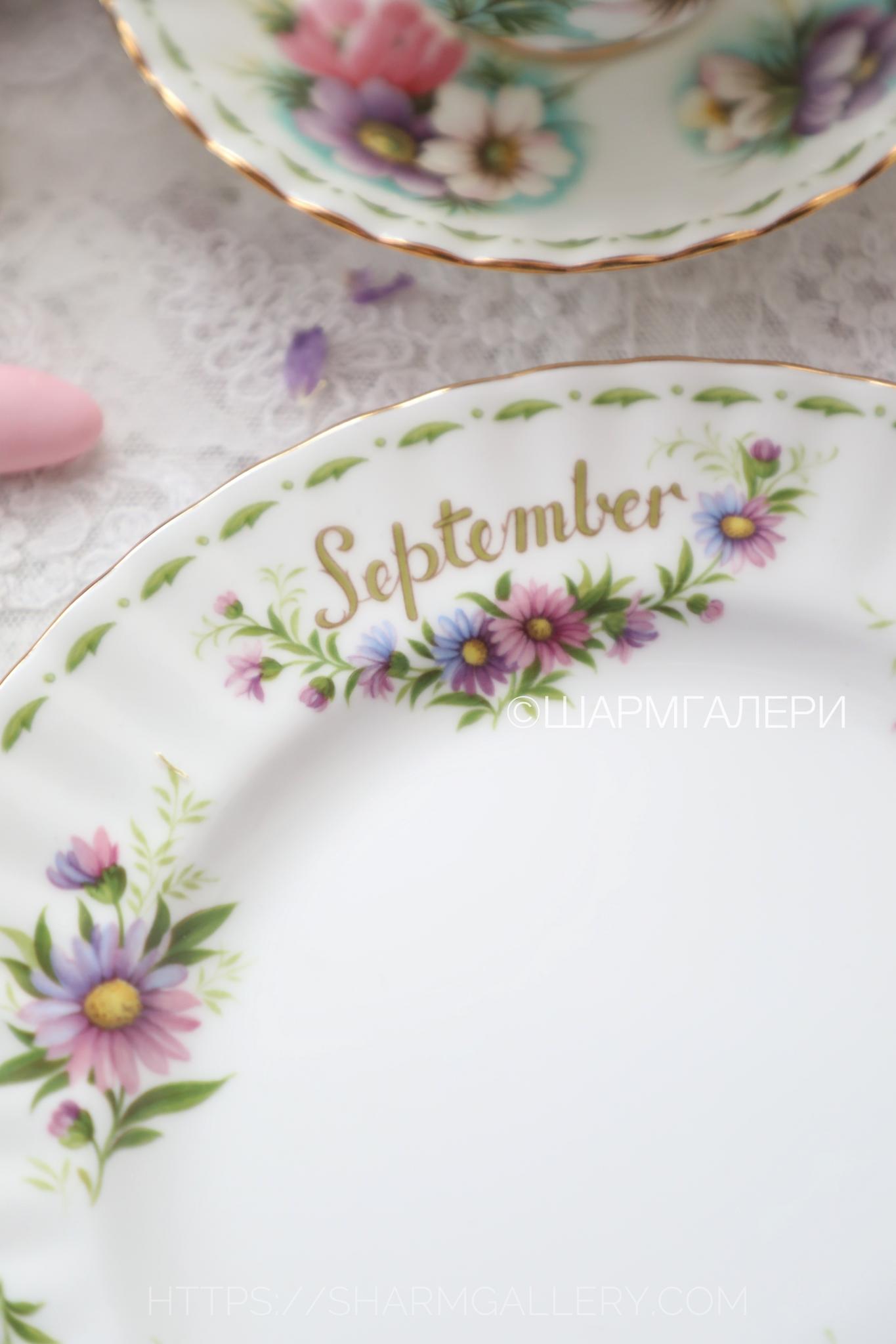 Редкость! Тарелка 20,5см. Сентябрь/Астра September/Michaelmas Daisy Цветок месяца/Flower of the month фарфор Royal Albert, Англия