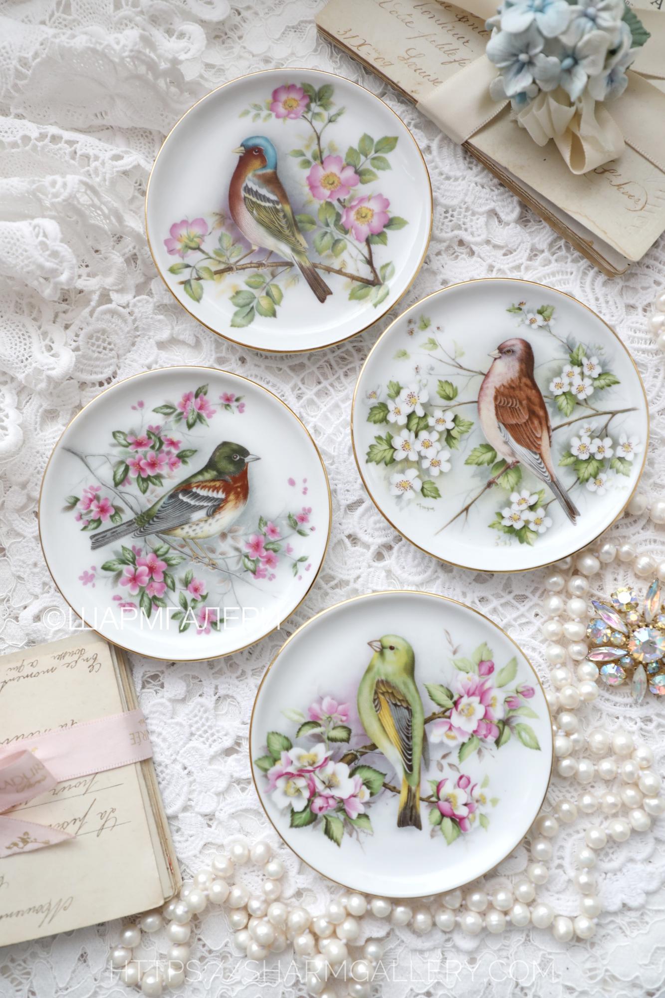 Сет 4 мини настенные тарелки «Певчие птицы» 9,5см. фарфор Bayreuth GLORIA, Германия.