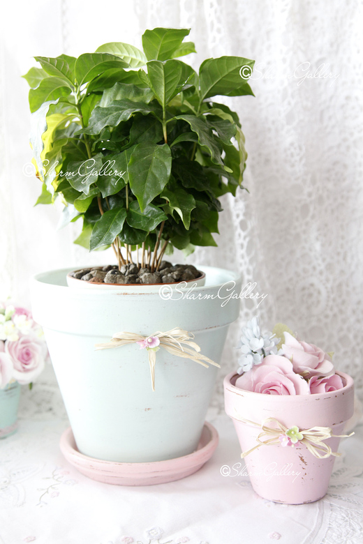 Горшок керамический большой с поддоном.