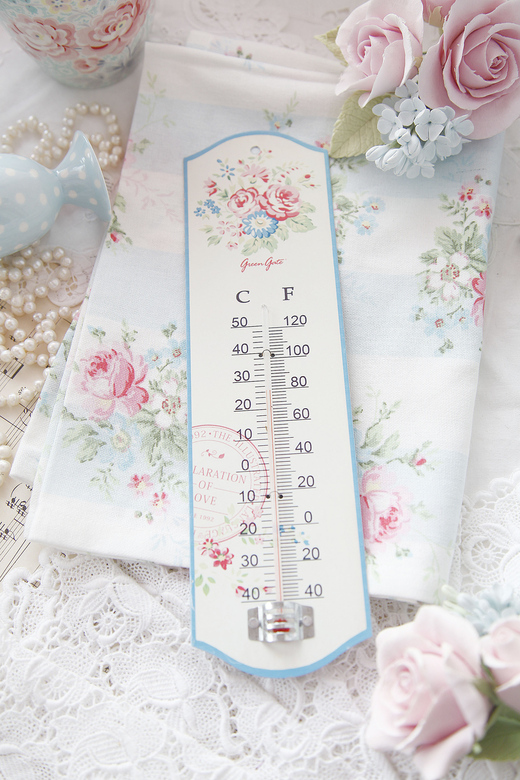 Редкость! Термометр комнатный "GreenGate" Дания