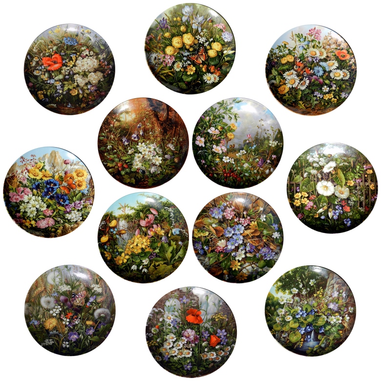 Дикие цветы