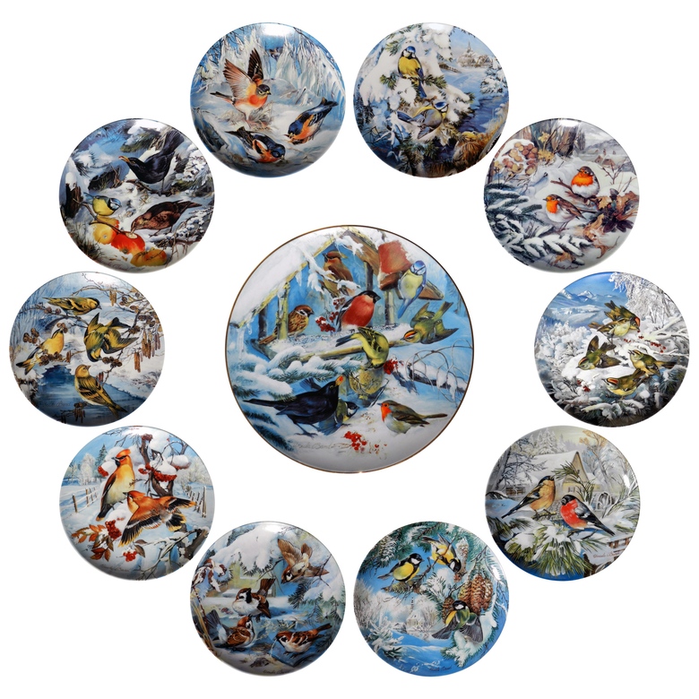 Птицы зимой