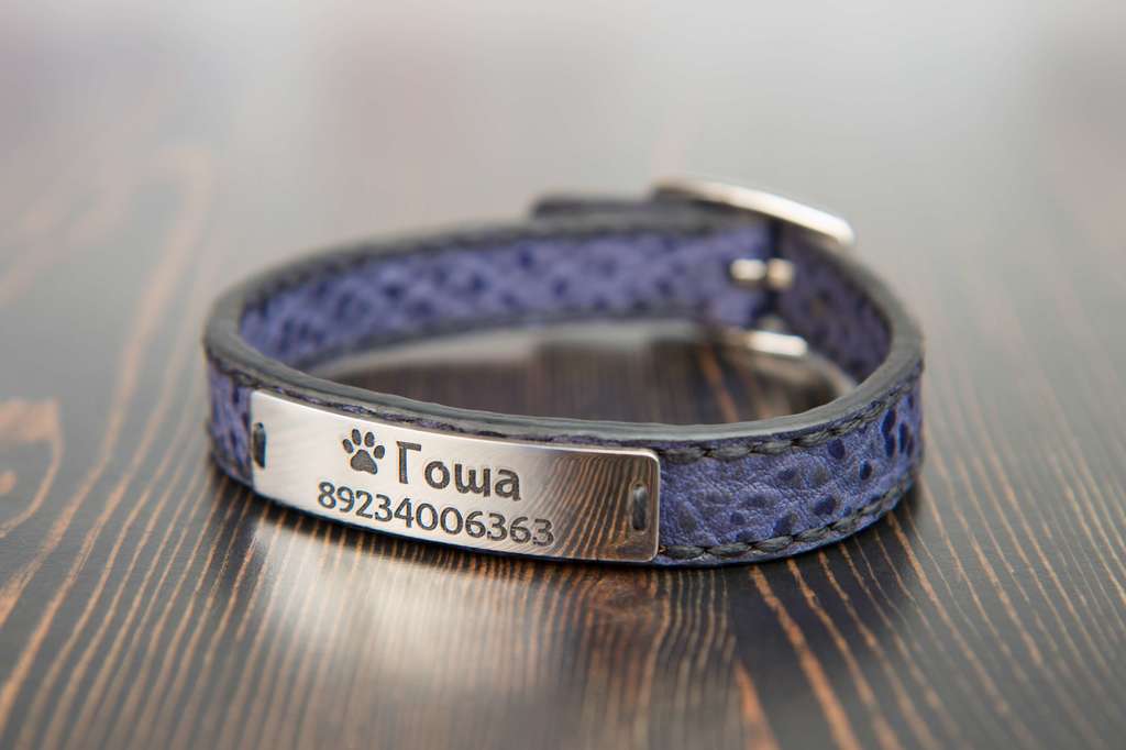 Ошейник именной маленький (декоративный)