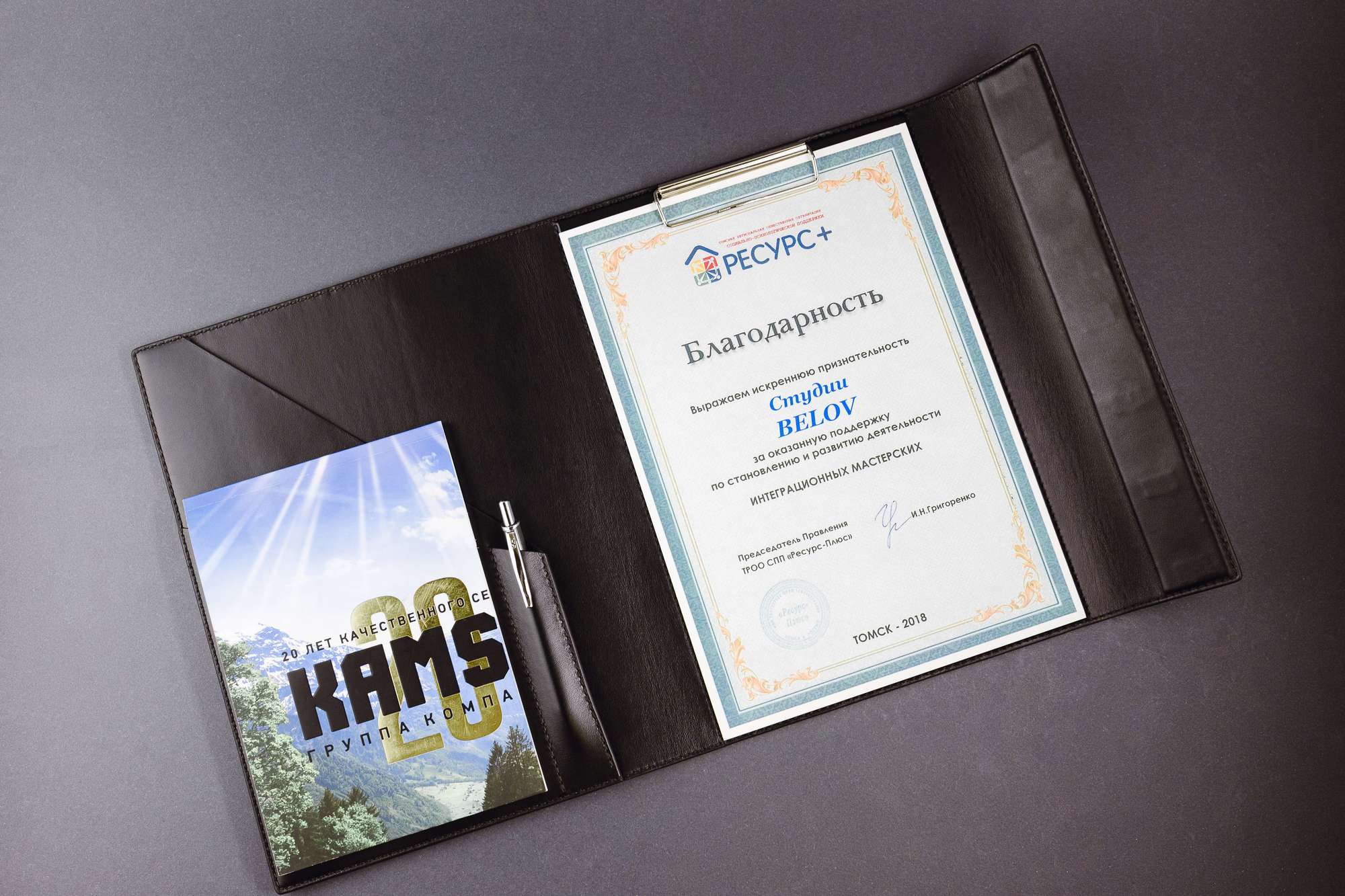 Папка руководителя