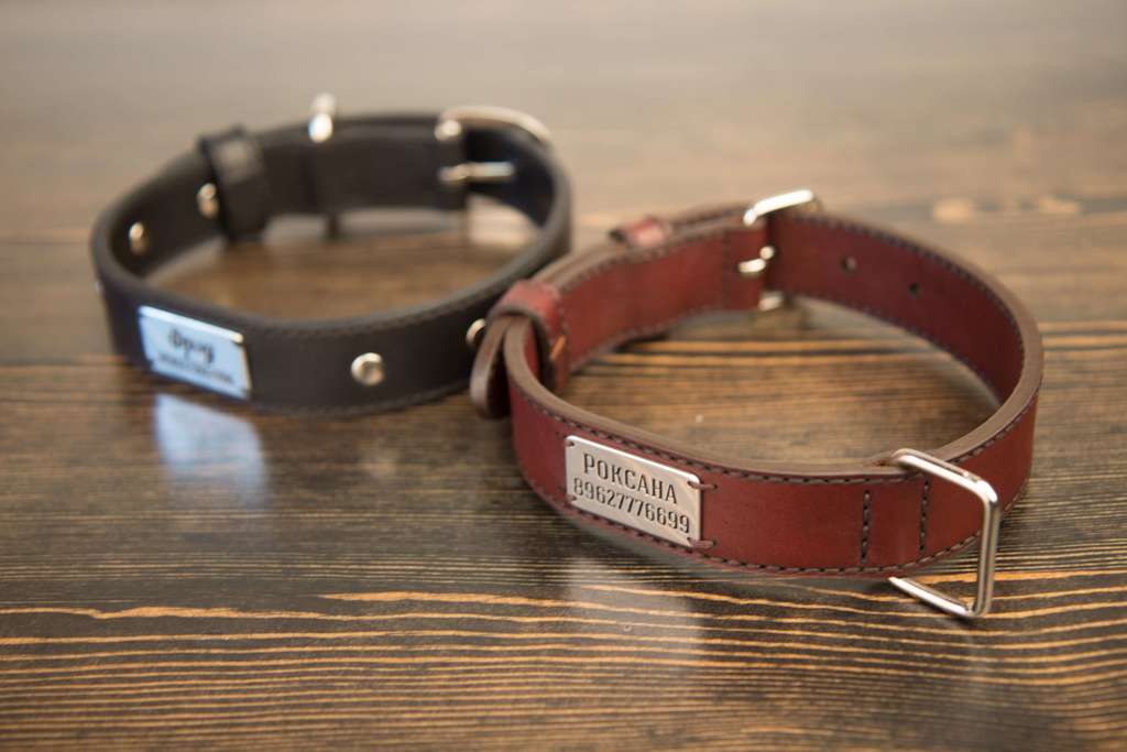 Ошейник именной большой