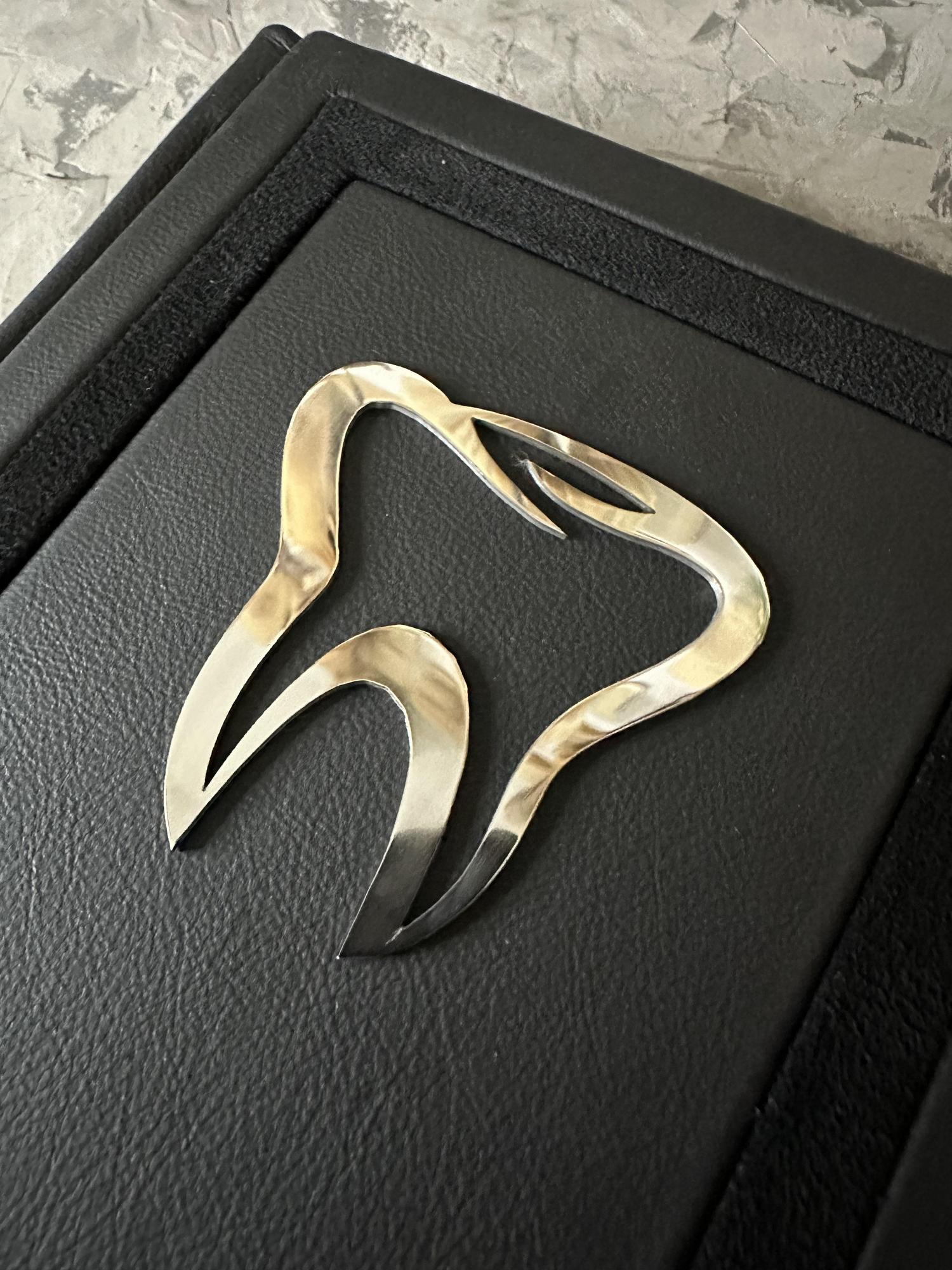 Ежедневник из натуральной кожи с бархатом и серебряной эмблемой зуба — AVallova luxury book