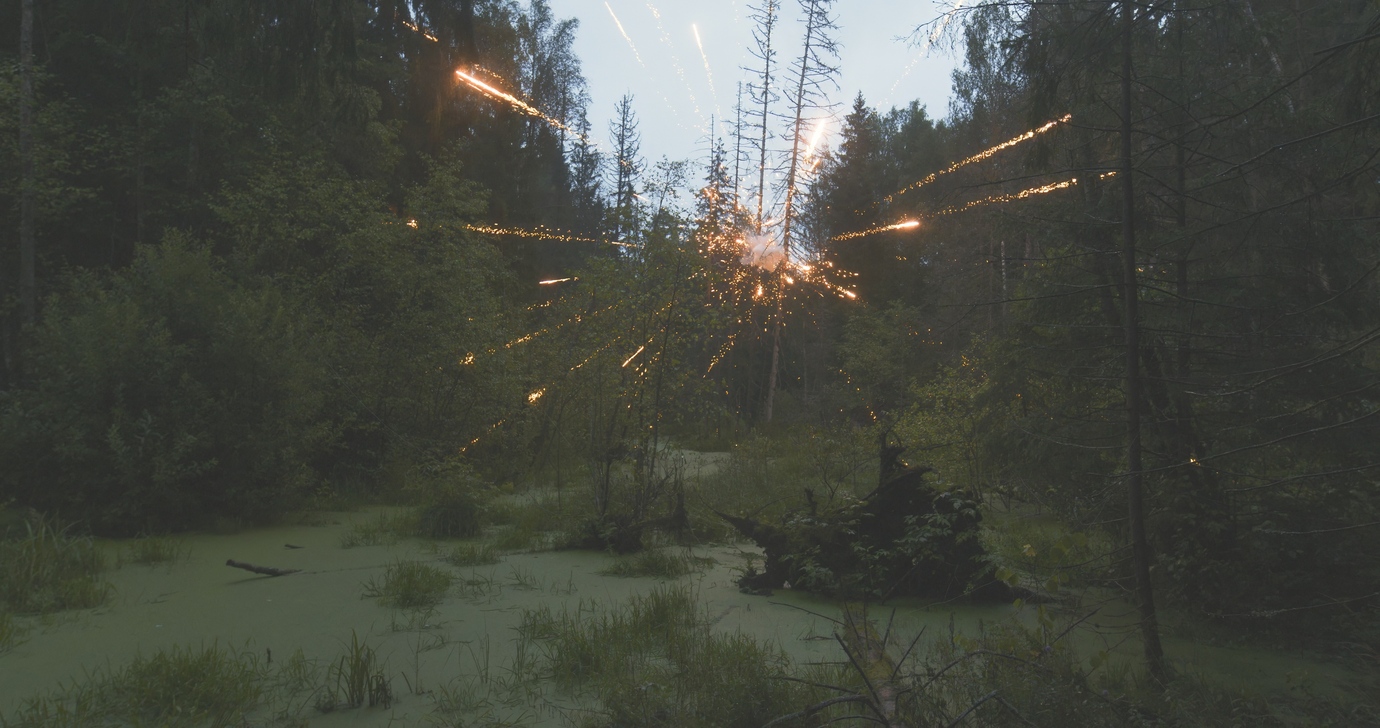 FIREWORKS ON THE SWAMP #1