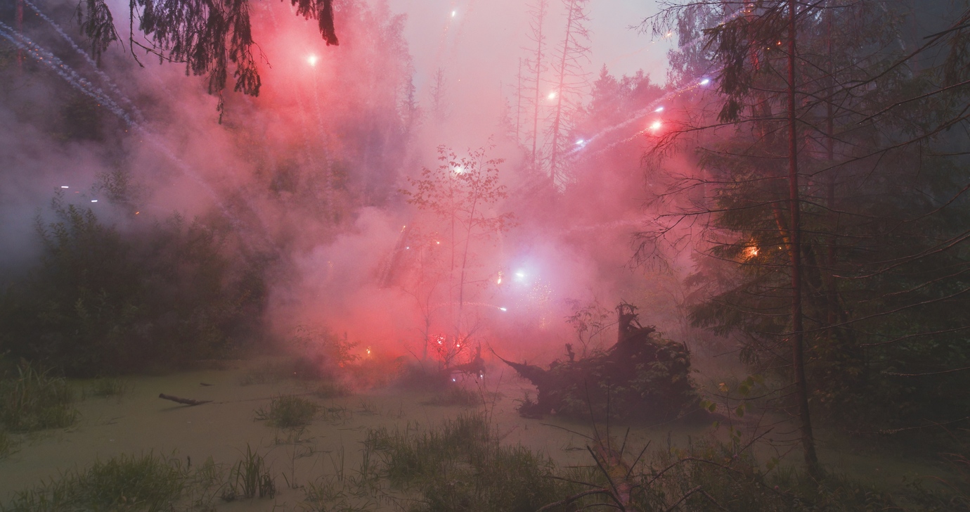 FIREWORKS ON THE SWAMP #5