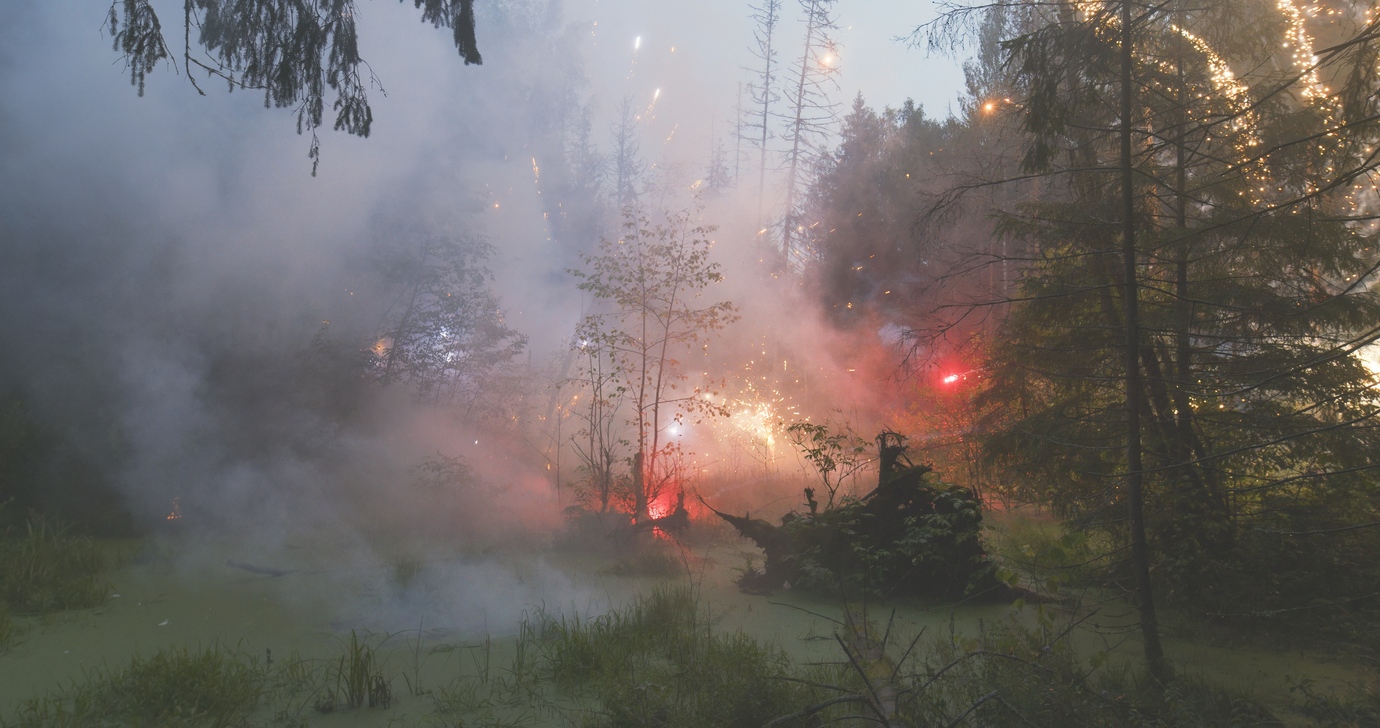 FIREWORKS ON THE SWAMP #6