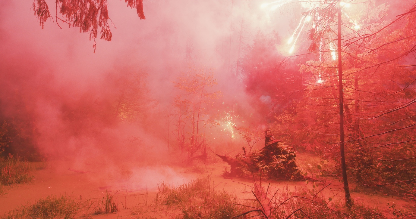 FIREWORKS ON THE SWAMP #7