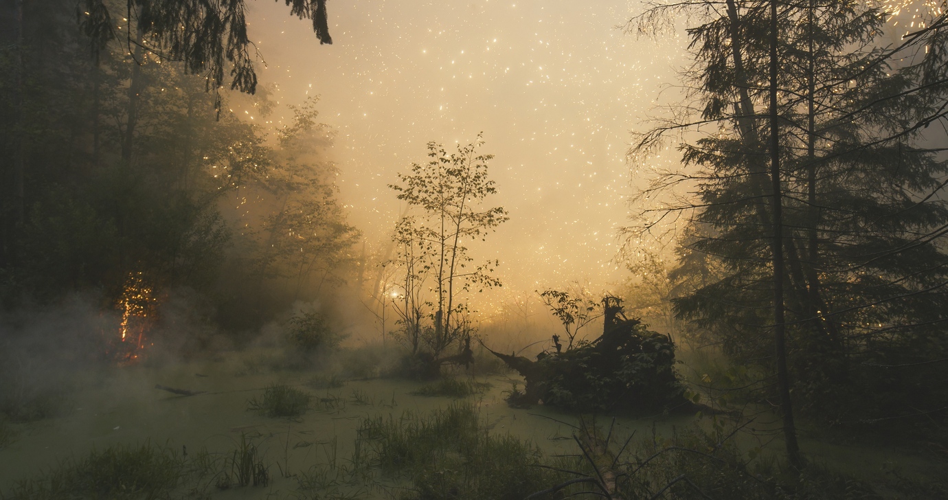 FIREWORKS ON THE SWAMP #8