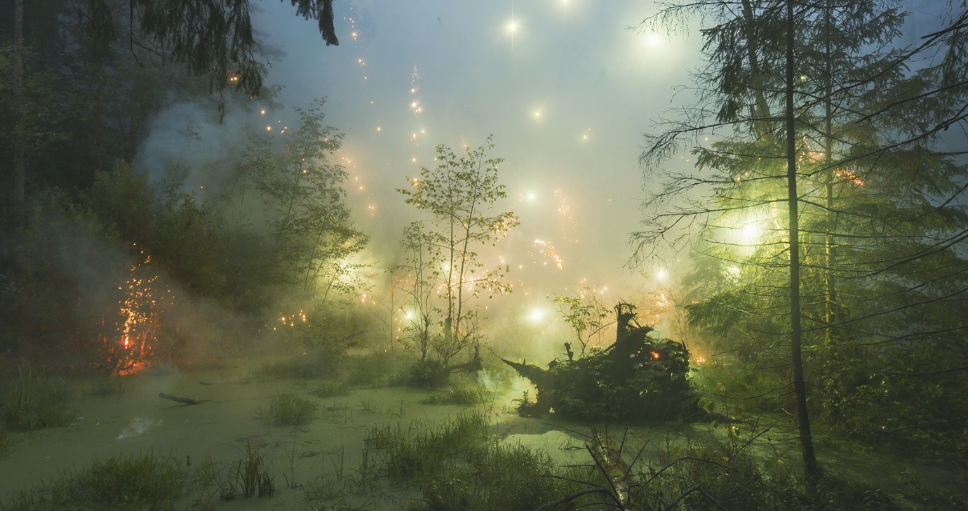 FIREWORKS ON THE SWAMP #9