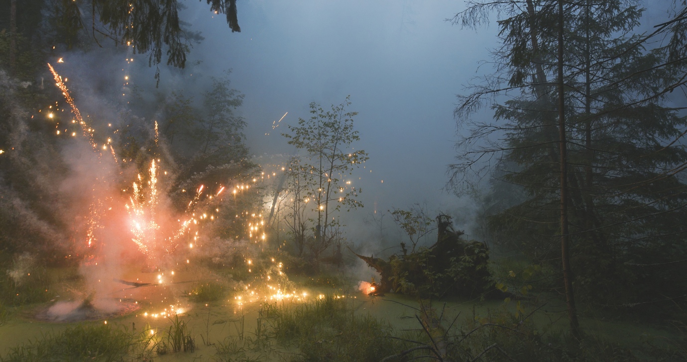 FIREWORKS ON THE SWAMP #10