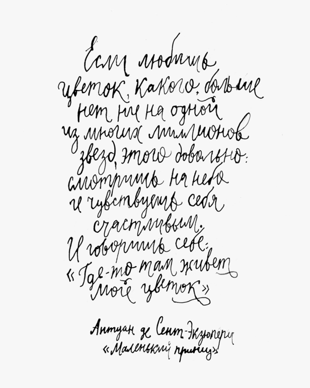 Принт на заказ «Маленьий принц»