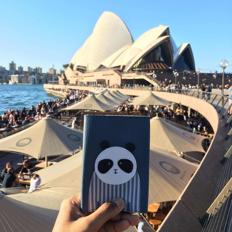 обложка для паспорта ПАНДА