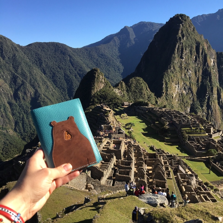 обложка для паспорта МЕДВЕДЬ