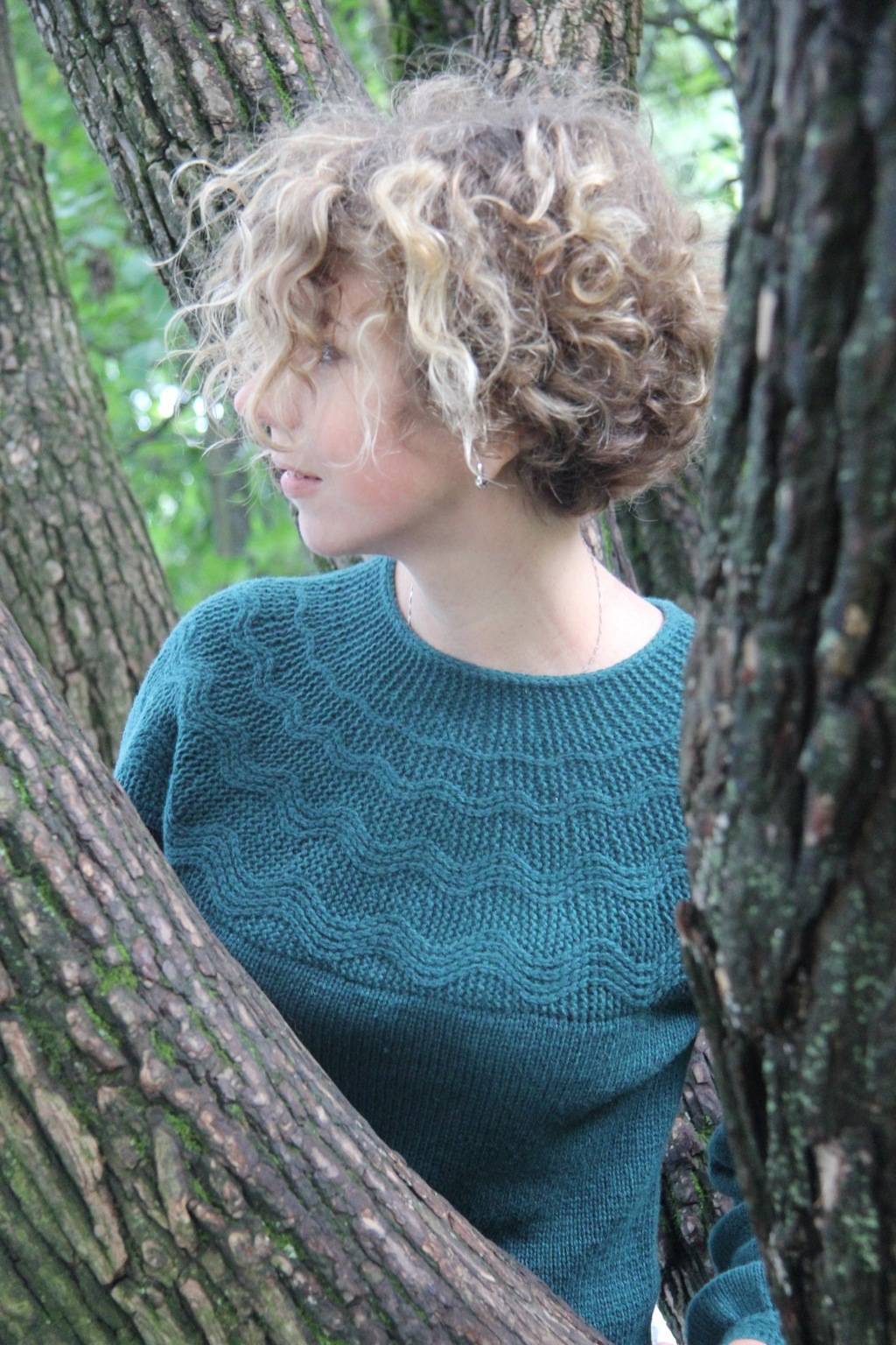 Коллекция Леса Орегона