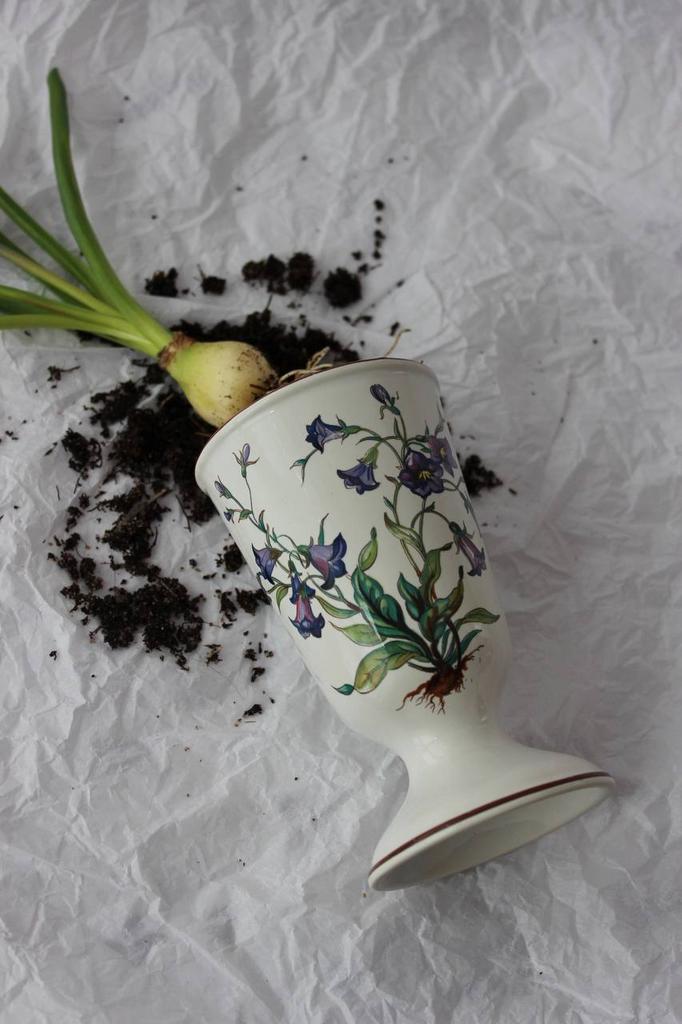 Мазагран Villeroy&boch "Botanica"