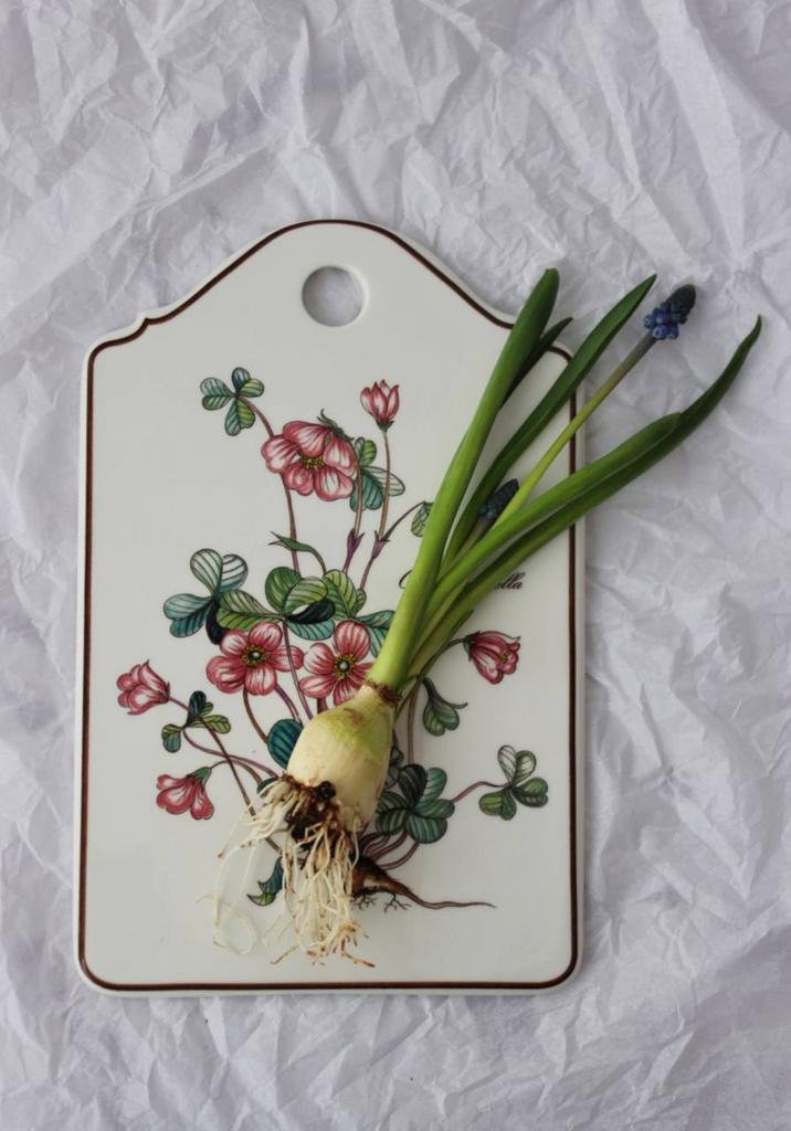 Сырная доска Villeroy&boch "Botanica"