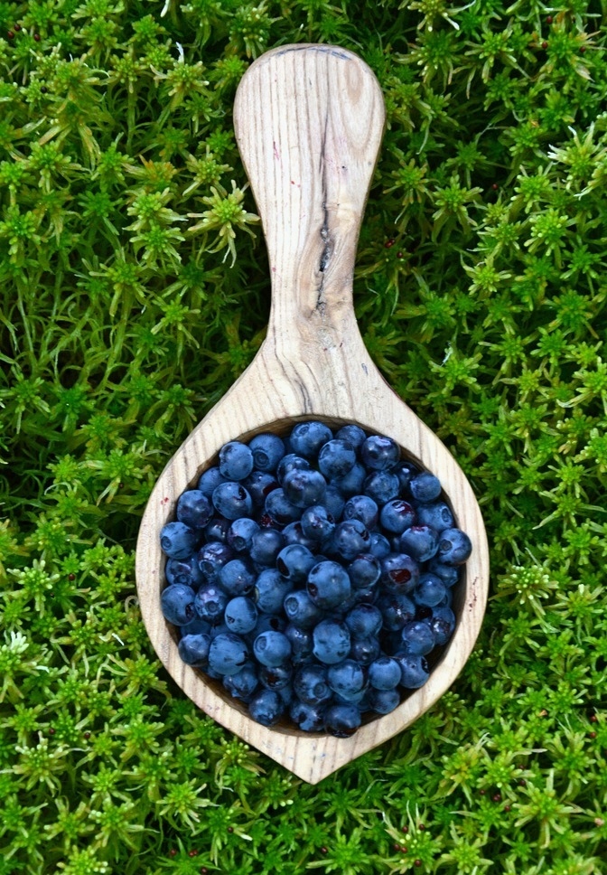 ВАРЕНЬЕ ИЗ ЧЕРНИКИ СБОР 2025 года