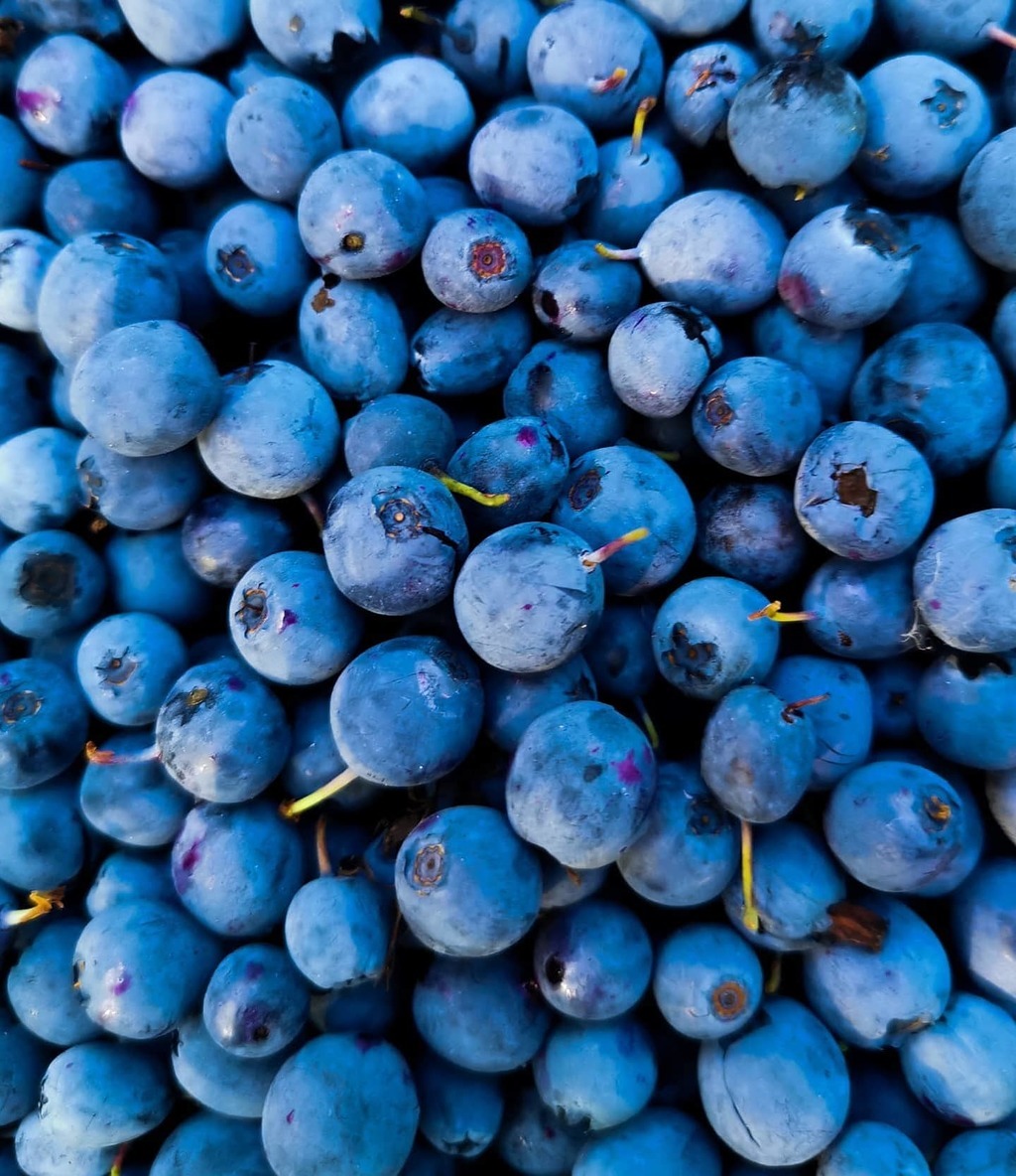 ВАРЕНЬЕ ИЗ ЛЕСНОЙ ГОЛУБИКИ СБОР 2025 года