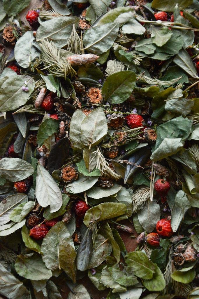 СБОР ХВОЙНЫЙ