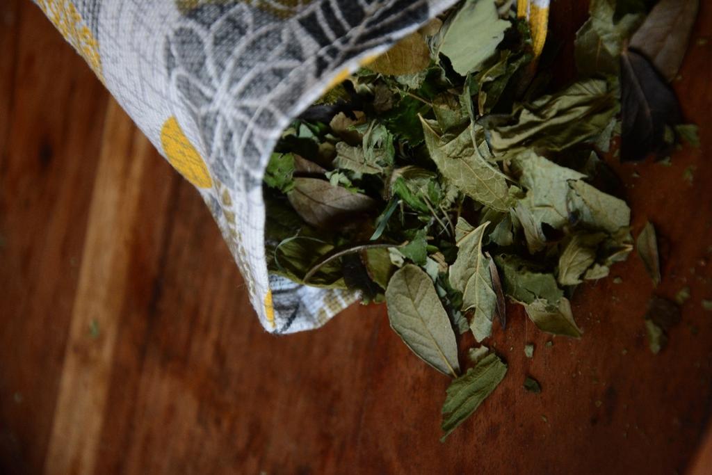 СБОР ЛЕСНЫЕ ТРАВЫ